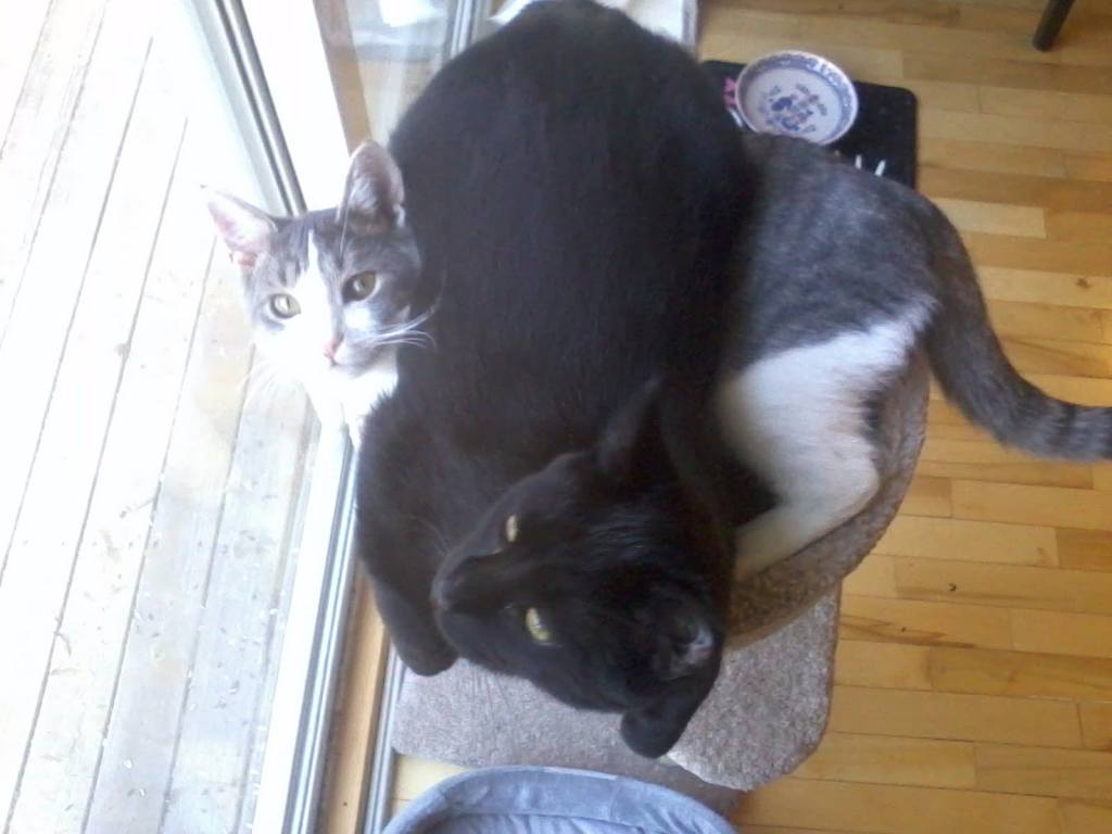 47100572_10161214041945603_3482712989470031872_o